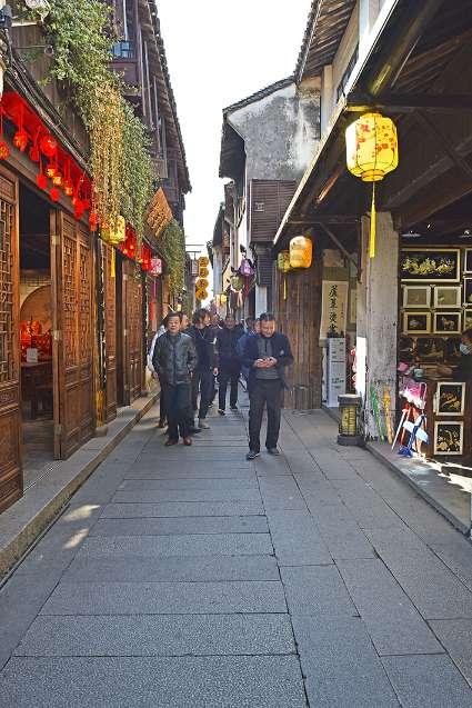 拯救小松鼠